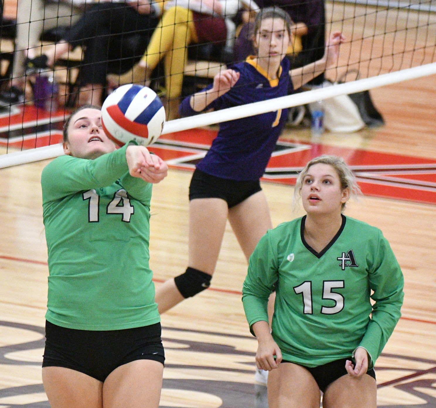 Class 2A Orion Volleyball Regional